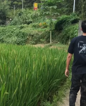 大学生男模兼职,讲诚信真实可靠