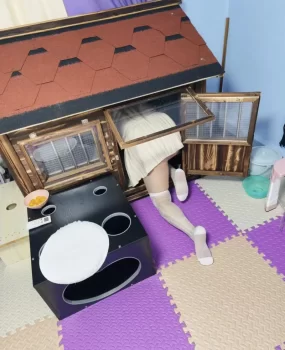 母狗女m双向互玩