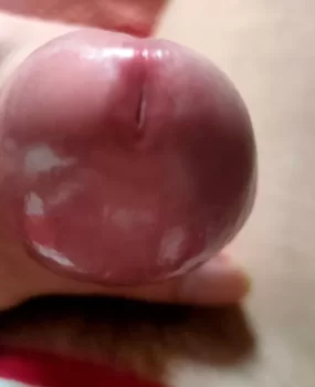 鸭鸭,会舔,可调教