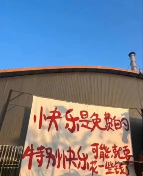 河西御姐风范小妹