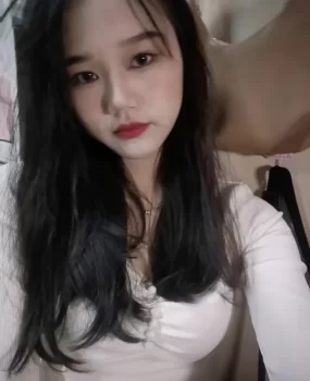 河东区草原野马