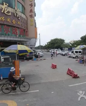 N次去人和镇金龙湾BT超级爽