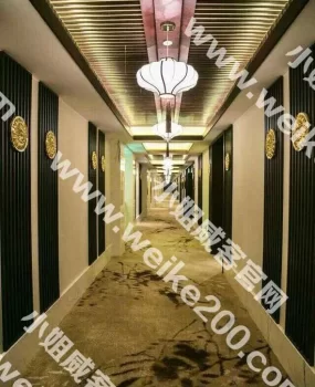 桥东槐安路，银河之星夜游记。