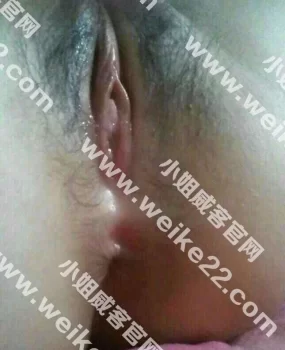 东莞东城良家，老师，嫩