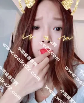 验证袁家岗成都小妹妹巴黎