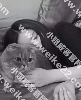 天津河西漂亮重庆MM