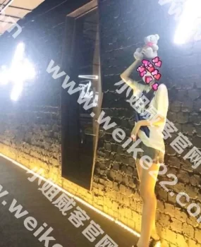 长腿美少女丹丹物超所值