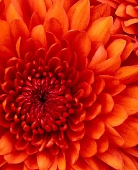 广州天河体育中心有16-23岁学生妹那个帖子留的信息都是找不到的